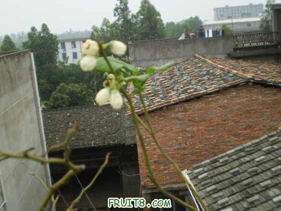 ͬ����ѿ���ѣ�����ʲô�����ܣ����ڿ�����