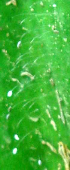 DSC03262.JPG