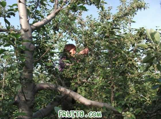 2010��5��6��ƻ�������