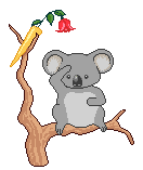 46.gif