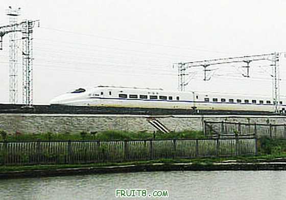 P5157501_.JPG