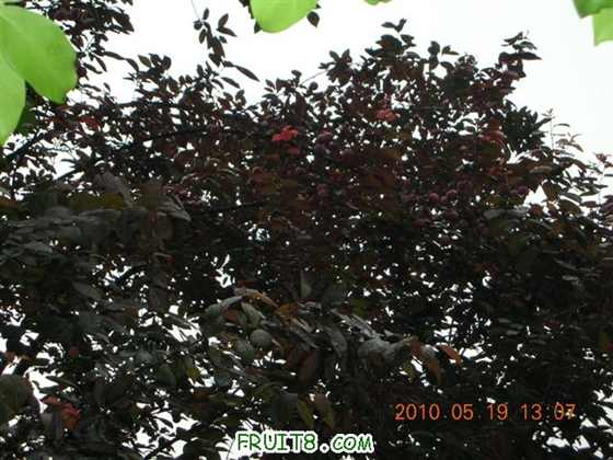 DSCN3368 (С).JPG