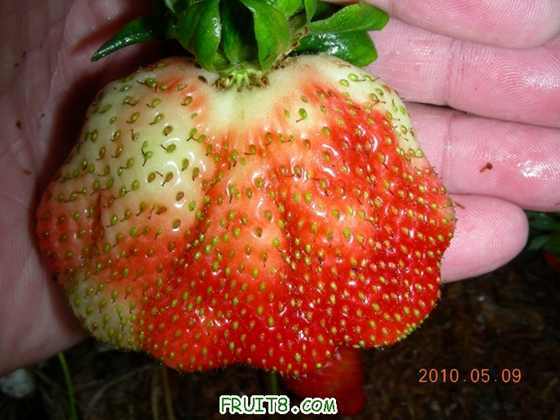 DSCN8606.JPG