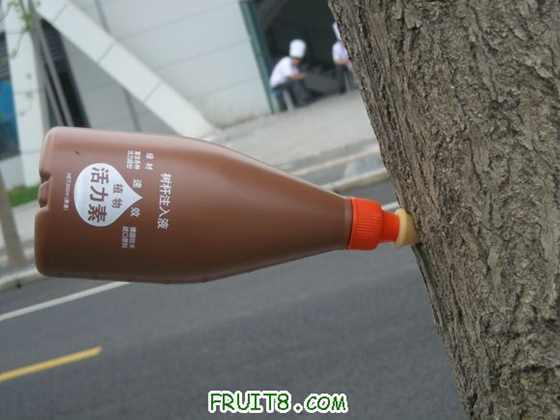 ��II 004.jpg