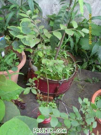 ������С SI855988.JPG