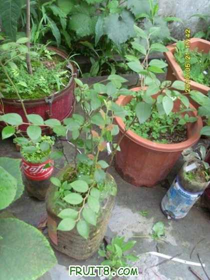 ������С SI855987.JPG