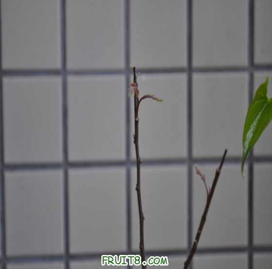 100524.jpg