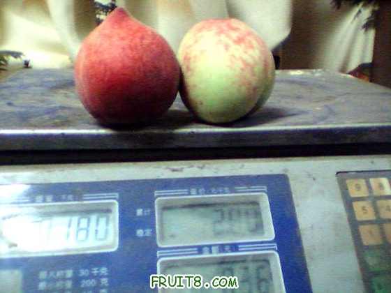 ͼƬ 015.jpg
