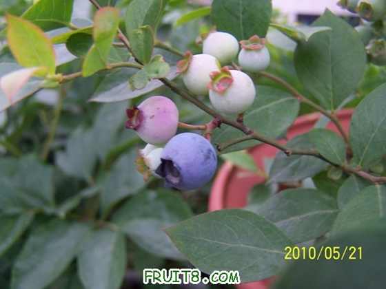 100_8730a.JPG