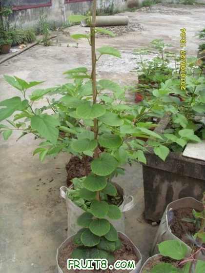 С SI856080.JPG
