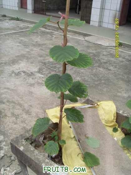 С SI856048.JPG