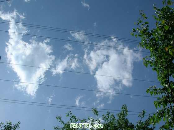 DSCN5396_С.JPG