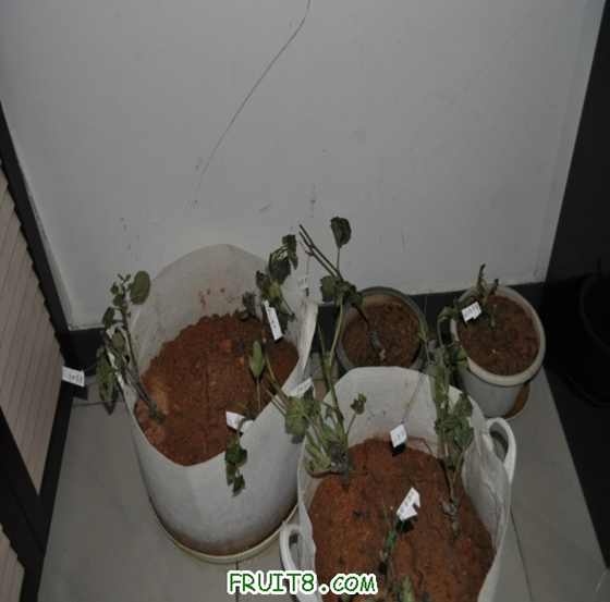 ޻100529A.jpg