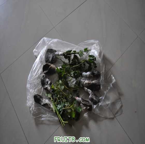 ޻100529.jpg