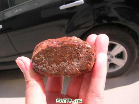 DSCN5453_С.JPG