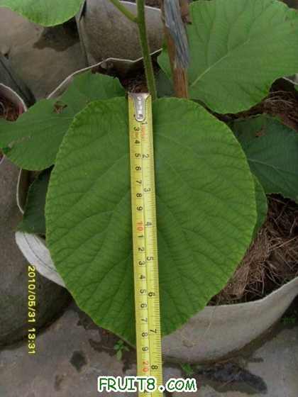 С SI856306.JPG