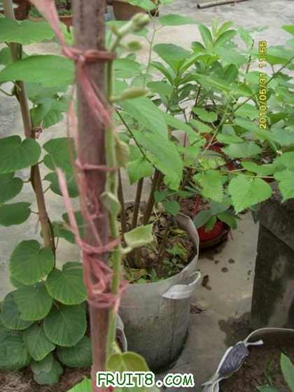 С SI856292.JPG