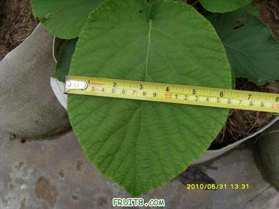 С SI856305.JPG