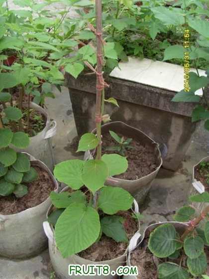 С SI856287.JPG