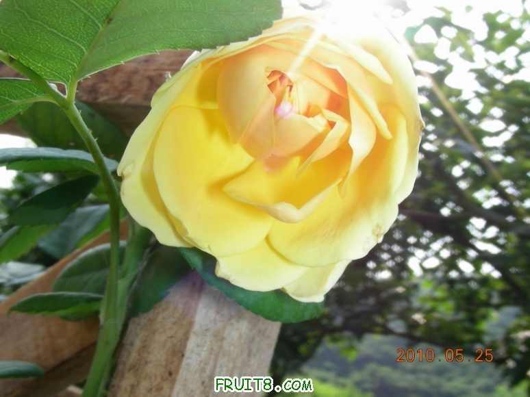 DSCN9764.JPG