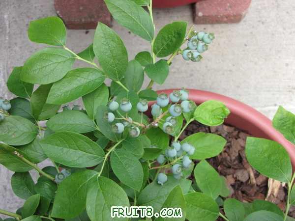 IMG_2410.jpg