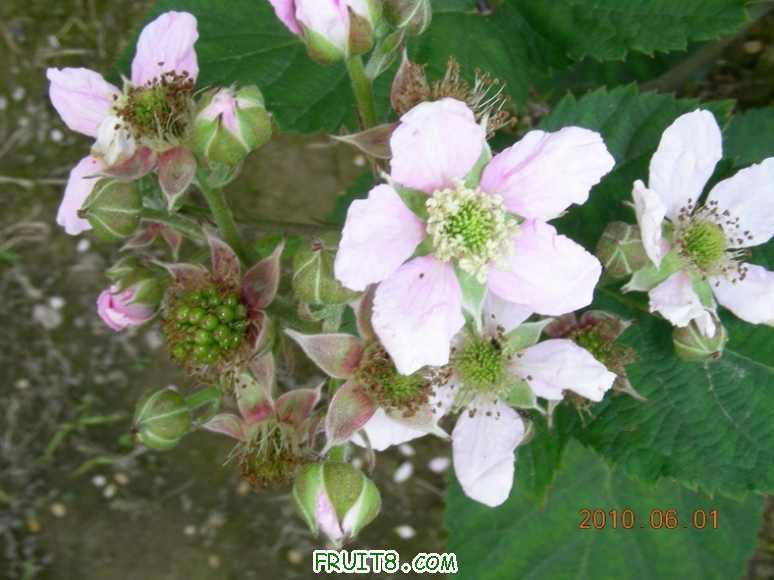 DSCN9969.JPG