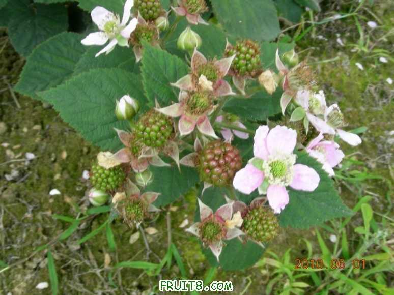 DSCN9976.JPG