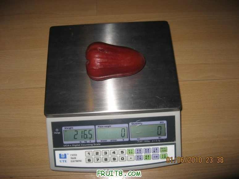 �ڽ�� �ֽ�̩������ �ֽзɵ� ��������󣬽н�տ����������
