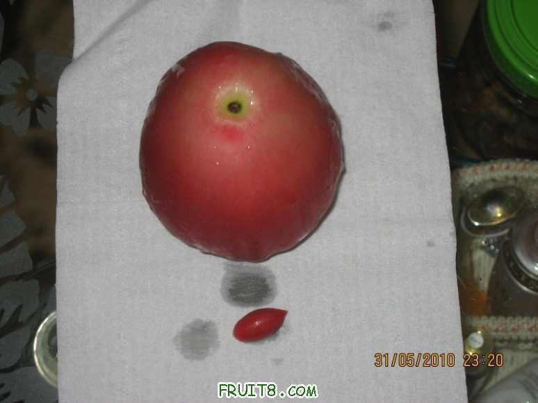 IMG_1897_copy.jpg