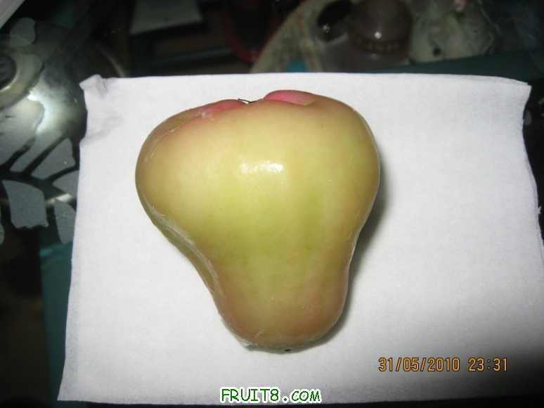 IMG_1911_copy.jpg