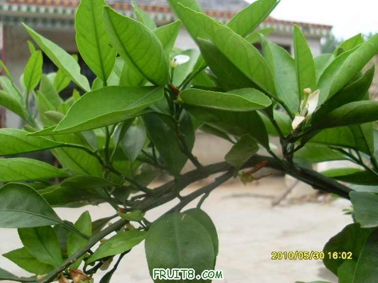 SL371220.JPG