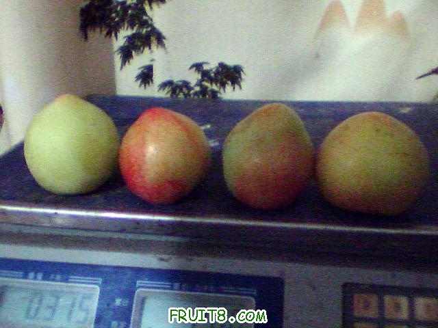 ͼƬ 051.jpg
