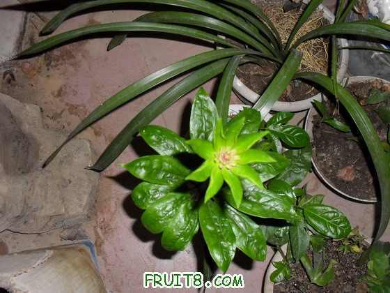 SDC10840_��С��С.JPG