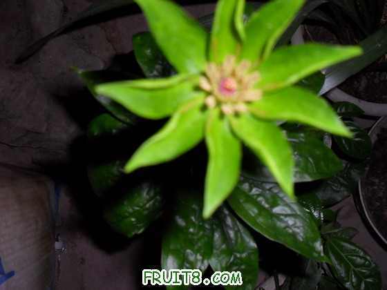 SDC10843_��С��С.JPG