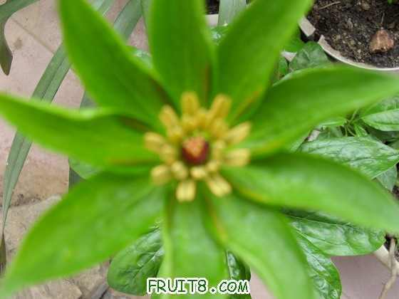 SDC10866_��С��С.JPG
