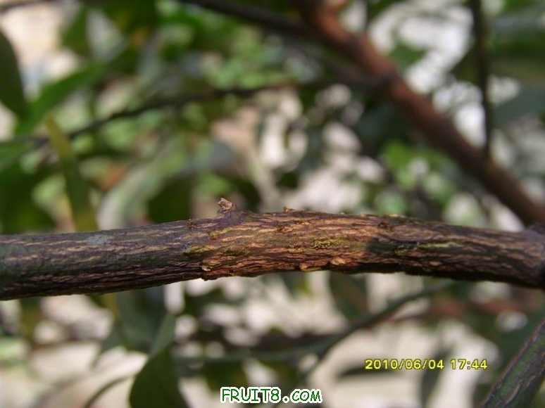 С SI856464.JPG