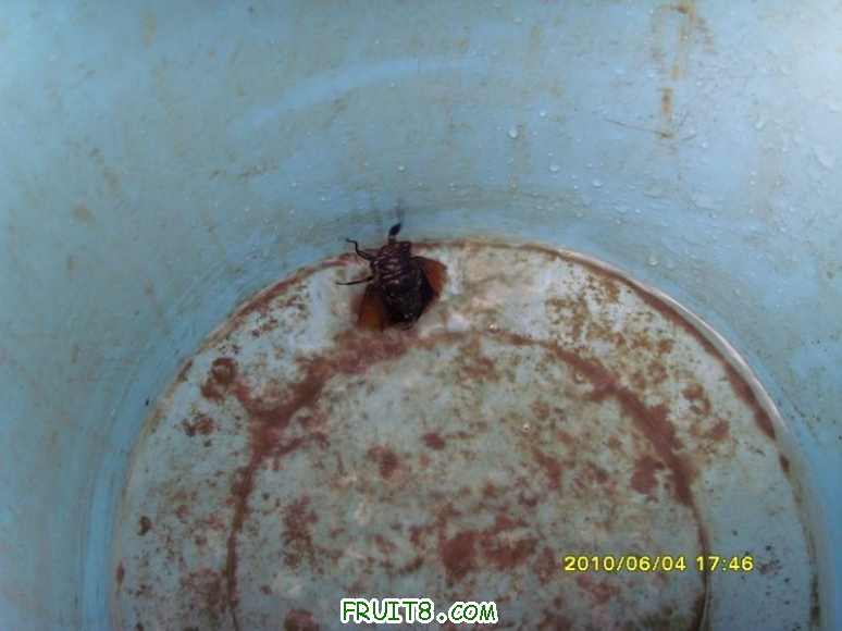 С SI856477.JPG