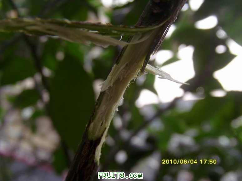 С SI856480.JPG