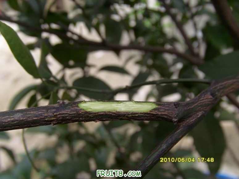 С SI856479.JPG