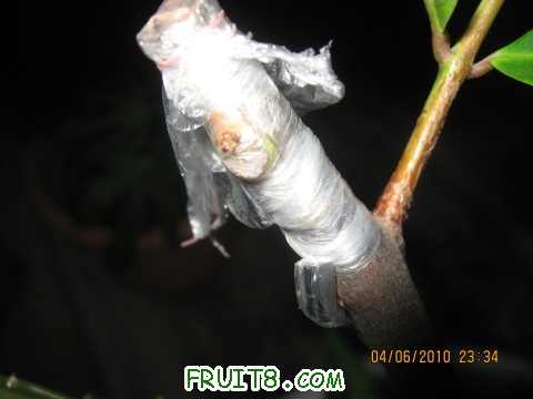 IMG_2176_copy.jpg
