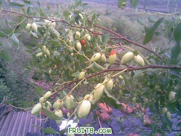 С 20090904(010).jpg