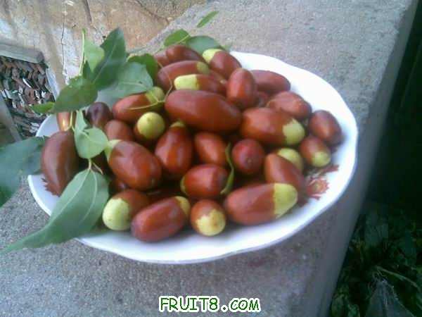 С 20090904(008).jpg