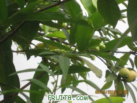 IMG_2284_copy.jpg