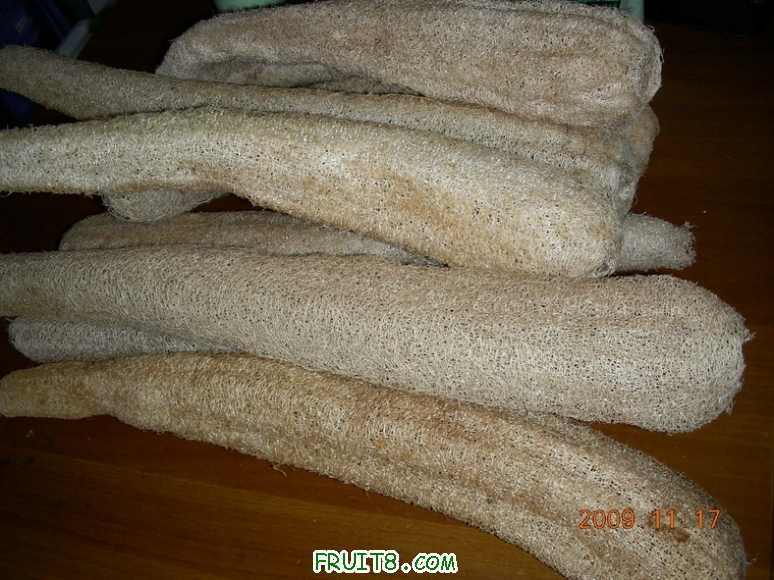 DSCN2921.JPG