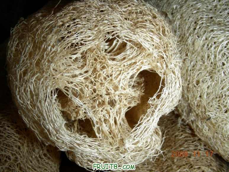 DSCN2927.JPG