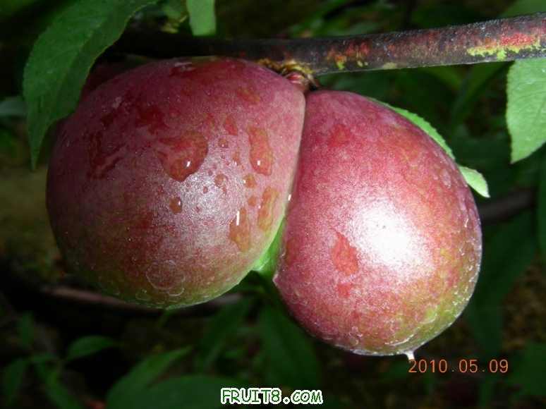 DSCN8638.JPG