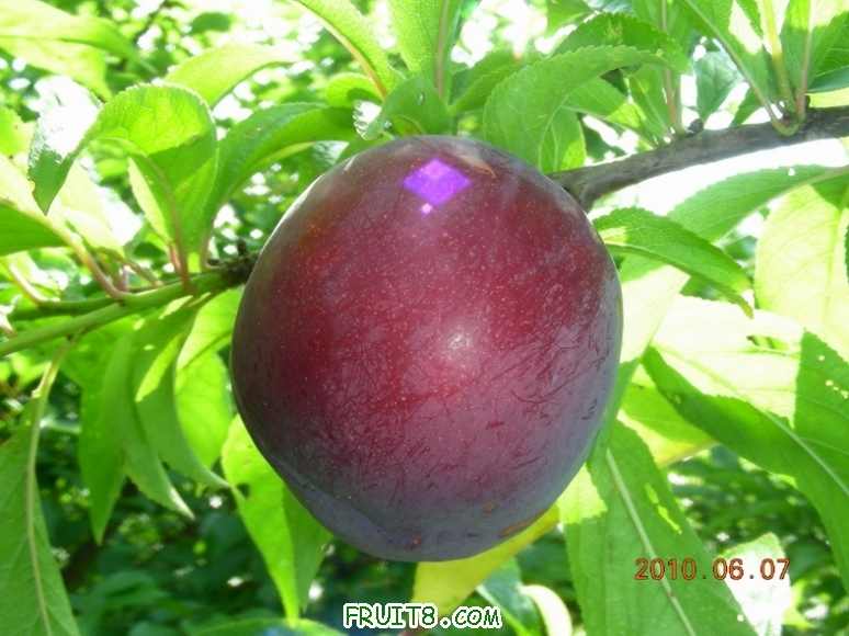 DSCN0091.JPG