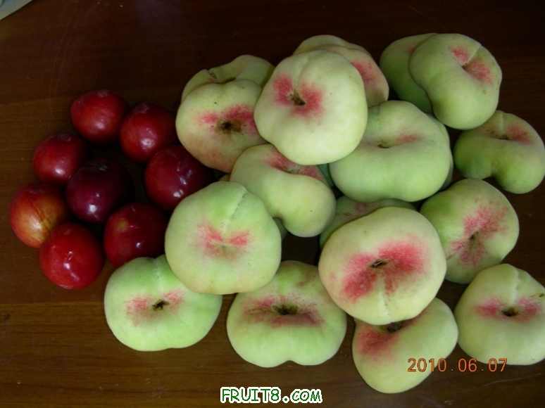 DSCN0101.JPG