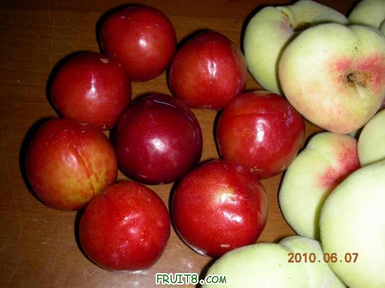 DSCN0103.JPG
