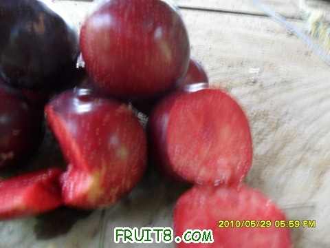 SAM_1328_СС.JPG